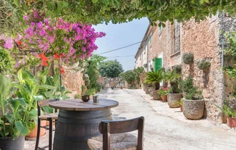 Finca Nr. 042