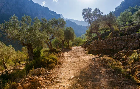 Finca Nr. 042